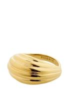 Asle Ring Pilgrim Gold