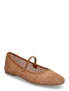 Majorca Ballerina Steve Madden Brown