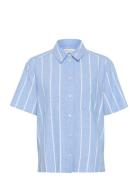 Reneepw Sh Part Two Blue