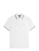 Cotton Linen Pique Reg Polo Tommy Hilfiger White