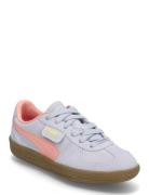 Palermo Jr PUMA Blue