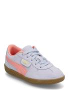 Palermo Ps PUMA Blue
