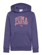 Puma Class Hoodie Tr G PUMA Blue