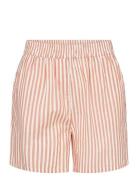 Sc-Rosette Soyaconcept Orange