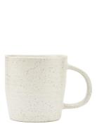 Pion Kop House Doctor Cream