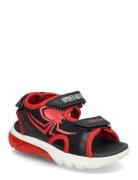 J Sandal Ciberdron B GEOX Black