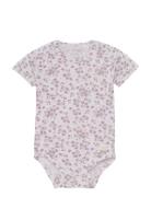 Body Ss Fixoni Purple