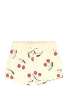 Tnstolivia Shorts The New Cream