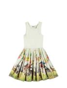 Cassandra Molo Green