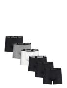 Puma Men Everyday Boxer 6P Ecom PUMA Black