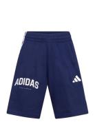 B 3S Sho Adidas Sportswear Navy
