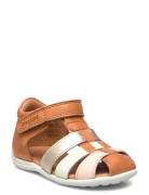 Bisgaard Carly Bisgaard Brown