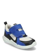 Biom 2.2 Infant ECCO Cream