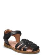 Bisgaard Carrie Bisgaard Black