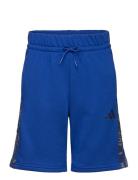 J Camo Short Adidas Sportswear Blue