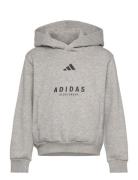 J Allszn Gfx Hd Adidas Sportswear Grey