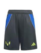 Messi Short Y Adidas Performance Grey