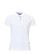 Lds Bovey Drycool Polo Abacus White