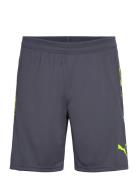 Individualcup Shorts PUMA Black