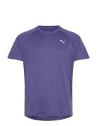 M Run Velocity Tee PUMA Purple