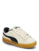 Suede Xl Dark Risk PUMA Beige