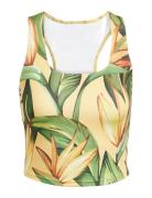 Farm Trn Tank Adidas Performance Yellow