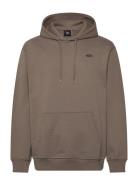 Style 76 Ii Loose Ft Po VANS Brown