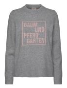 Clio Baum Und Pferdgarten Grey