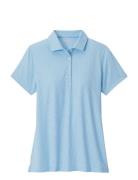 Trillium Neat Short Sleeve Button Polo Peter Millar Blue