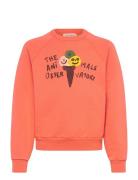 Shark Kid Sweatshirt Salmon THE ANIMALS OBSERVATORY Orange