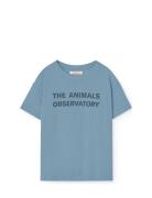 Orion Kid T-Shirt Blue THE ANIMALS OBSERVATORY Blue
