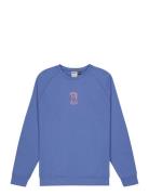 Terra Crew PICTURE ORGANIC CLOTHING Blue