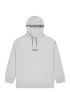 Cailey Hoodie PICTURE ORGANIC CLOTHING Grey