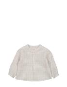 Totoro MarMar Copenhagen Cream