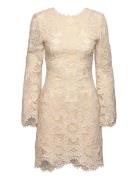 Imani Guipure Lace Mini Dress Malina Cream
