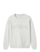 Nkmlester Ls Nreg Sweat Unb Name It Grey