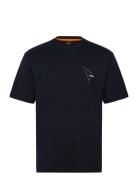 Te_Section BOSS Black