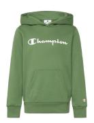 Hooded Sweatshirt Champion Green