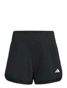 Pacer Knit High Adidas Performance Black