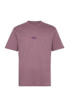 Ev Swell Ovation Ss Quiksilver Purple