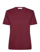 Cotton Short-Sleeved T-Shirt Mango Red