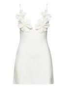 Ingrid Flower Full Cup Dress Bardot White