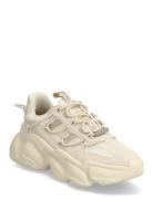 Spectator Steve Madden Cream