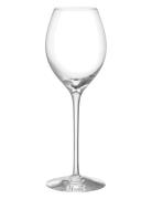 More Champagne Boule Glas 31Cl 2-Pack Orrefors