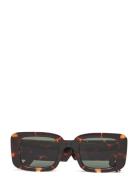 Avery Havana Komono Brown