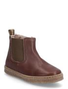 Bisgaard Phillip Lamb Bisgaard Brown