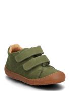 Bisgaard Hale V Bisgaard Green