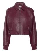 A-Cropped Crinkle Faux Leather B Calvin Klein Jeans Burgundy