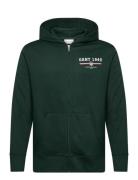 Graphic Full Zip Hoodie GANT Green