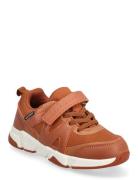 Bonnie Jr Exani Brown